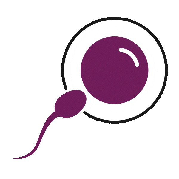 Egg Get Pregnant Sticker by Natural Cycles