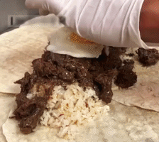 Burrito GIF