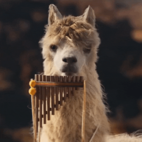 Cerveza Salta Cautiva GIF