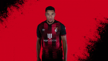 Football Celebrating GIF by AFC Bournemouth