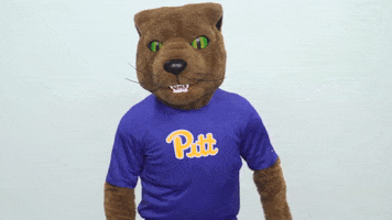 excited college sports GIF by Pitt Panthers