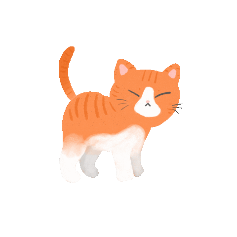 Cat Sticker