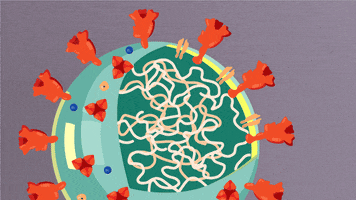 ScrippsResearch GIF