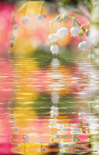 Pipercreations Lilyofthevalley Flowers Reflection Water Summer Nature Seasons GIF - Find & Share on GIPHY