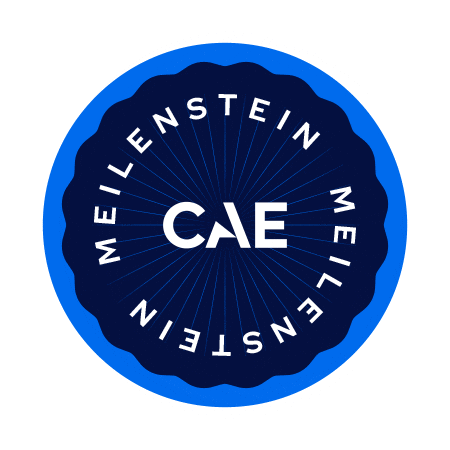 German Deutsch Sticker by CAE