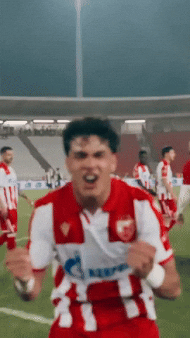 GIF by FK Crvena zvezda