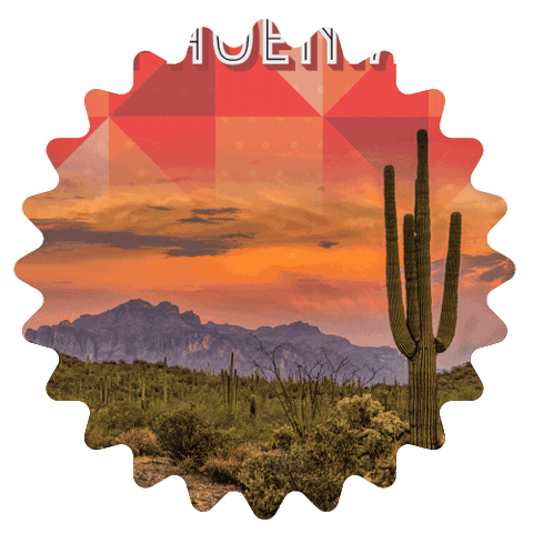 Physiatry Sticker by AAPMR