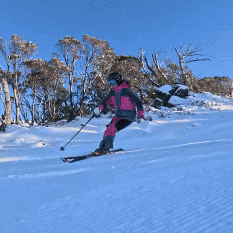 GIF by Thredbo