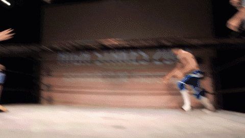 York Nitro GIF by SHWA Wrestling - Find & Share on GIPHY
