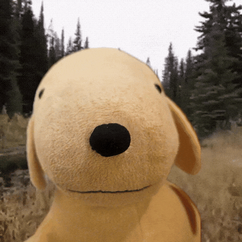 Bearmeme GIF