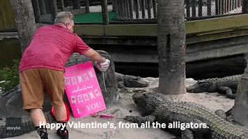 Valentines Day GIF by Storyful