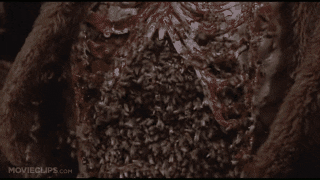 Animated GIF - Find & Share on GIPHY