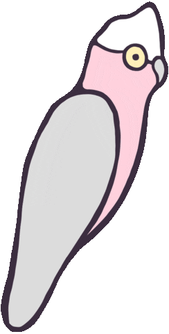 Animated Sticker
