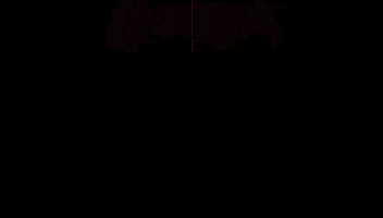 GIF by The Ark