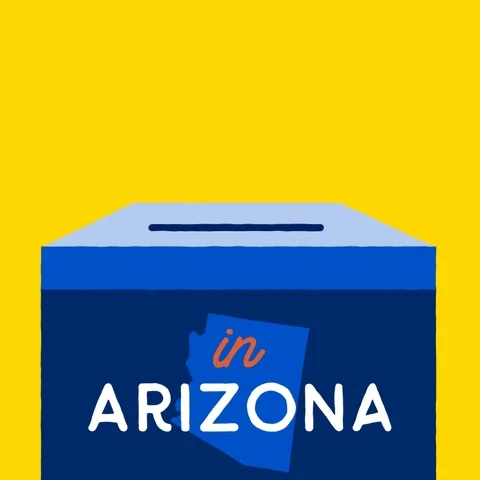 Voting Ballot Box GIF