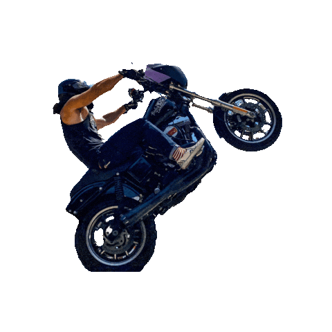Wheelie Dyna Sticker by Bartels Harley Davidson