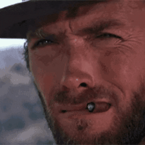 The Cat GIF