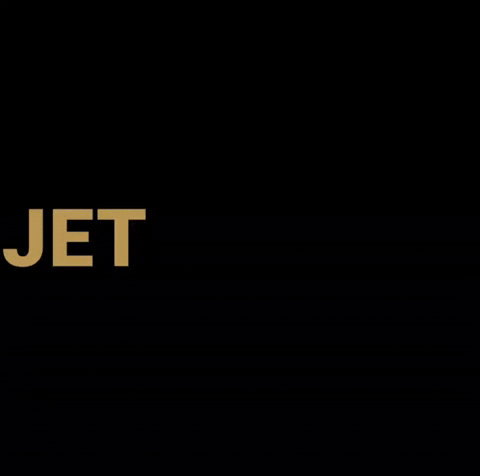 Private Jet Love GIF by JetSetGo