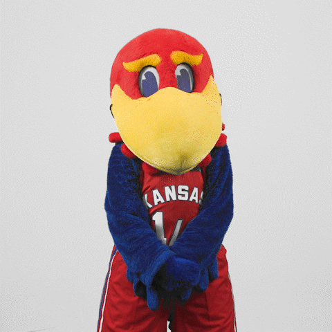 Mascot Oh Stop It GIF by University of Kansas