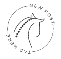 Taphere Newblogpost Sticker by My Equestrian Style