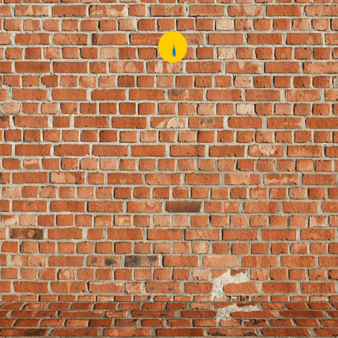 Alecs GIF