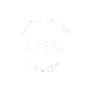 Hip-Hop Bollywood Sticker by Jayna Dance Academy