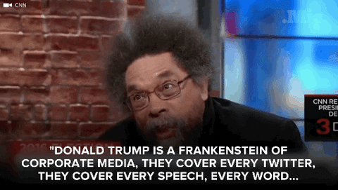 Hillary Clinton Politics GIF