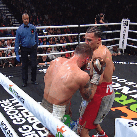 Showtime Fighting GIF by Premier Boxing Champions