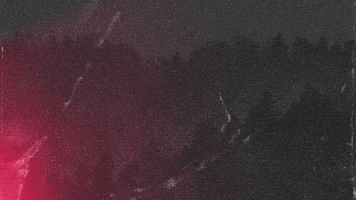 South Dakota Pp GIF by Rapid City Rush