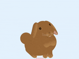 You Are Beautiful Bunny GIF