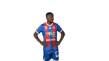 Football Chateauroux Sticker by La Berrichonne de Châteauroux