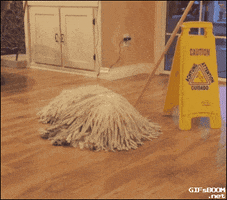 dog mop GIF