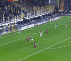 Galatasaray Izmir GIF