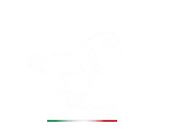 Sport Horse Sticker by Lozar Stables