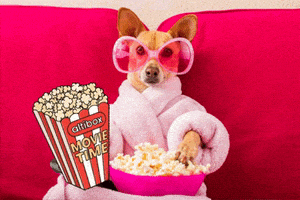 Movie Popcorn GIF by Altibox