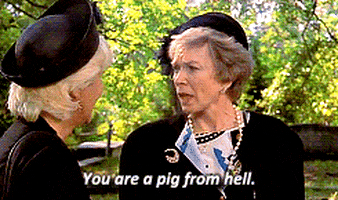 steel magnolias you are a pig from hell GIF
