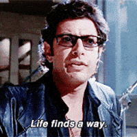 200_s.gif