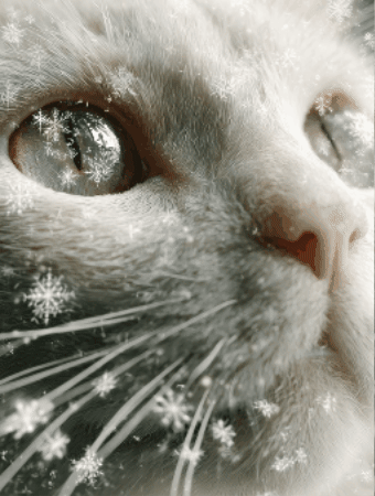 Snowflakes Whitecat GIF