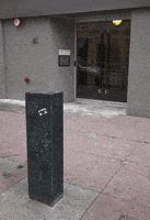 portland institute for contemporary art pica GIF by hateplow