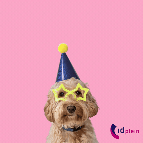 GIF by id Plein
