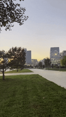 Meme GIF