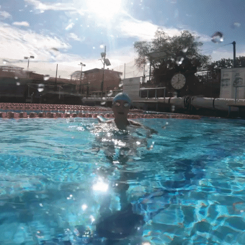 Swimming Pool Hello GIF by Watery