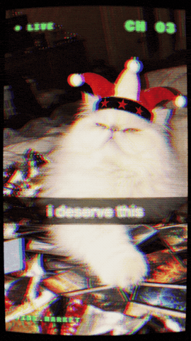 Cat Winning GIF by Vibe.market