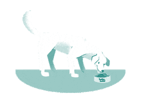 Hund Sticker by HelloBello Frischfutter