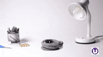 Wound Up Stop Motion GIF by School of Computing, Engineering and Digital Technologies