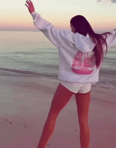 Chasethesun GIF by pinkpalmpuff