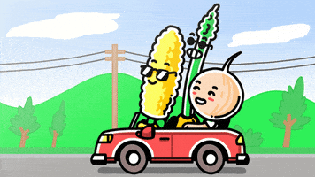 Animation Driving GIF by Holler Studios