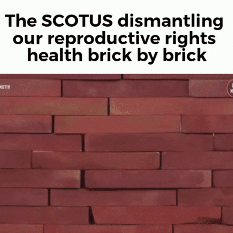 Meme gif. Man wearing round black glasses and a suit and tie pushes through a wall of foam bricks, toppling them to the floor. "The S-C-O-T-U-S dismantling our reproductive rights health brick by brick."