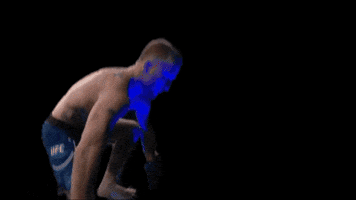 Mixed Martial Arts Combat Sports GIF by Guitarjamz