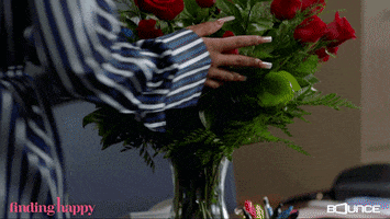 Red Roses Love GIF by Bounce
